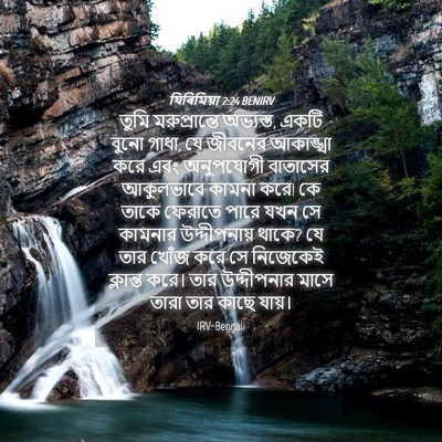 Picture 04 - যিৰিমিয়া 2:24 BENIRV - তুমি মরুপ্রান্তে - Bible Verse Picture