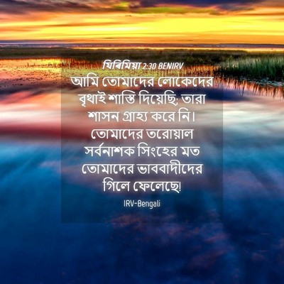 Picture 04 - যিৰিমিয়া 2:30 BENIRV - আমি তোমাদের - Bible Verse Picture