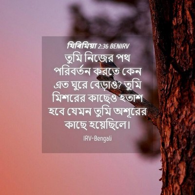 Picture 04 - যিৰিমিয়া 2:36 BENIRV - তুমি নিজের পথ - Bible Verse Picture