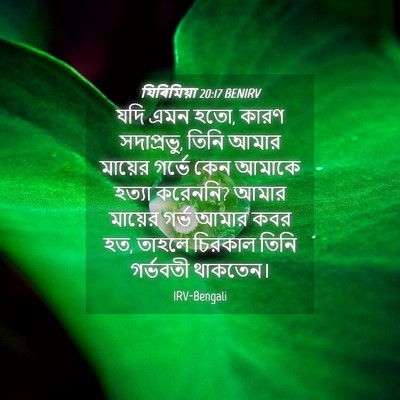 Picture 04 - যিৰিমিয়া 20:17 BENIRV - যদি এমন হতো, কারণ - Bible Verse Picture