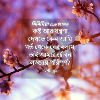 Picture 04 - যিৰিমিয়া 20:18 BENIRV - কষ্ট আর যন্ত্রণা - Bible Verse Picture