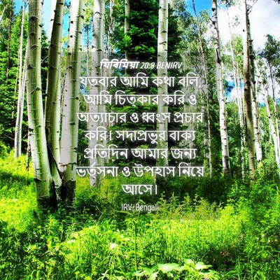 Picture 04 - যিৰিমিয়া 20:8 BENIRV - যতবার আমি কথা বলি, - Bible Verse Picture