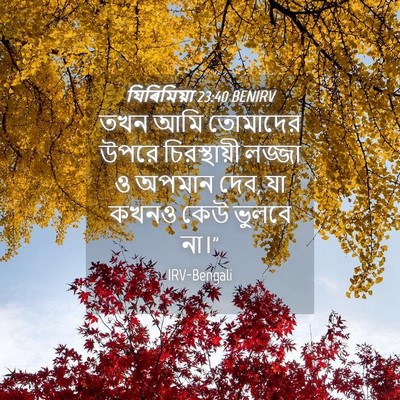 Picture 04 - যিৰিমিয়া 23:40 BENIRV - তখন আমি তোমাদের - Bible Verse Picture