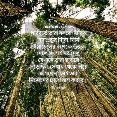 Picture 04 - যিৰিমিয়া 23:8 BENIRV - পরিবর্তে তারা - Bible Verse Picture