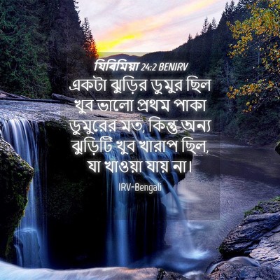 Picture 04 - যিৰিমিয়া 24:2 BENIRV - একটা ঝুড়ির ডুমুর - Bible Verse Picture