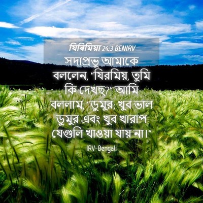 Picture 04 - যিৰিমিয়া 24:3 BENIRV - সদাপ্রভু আমাকে - Bible Verse Picture