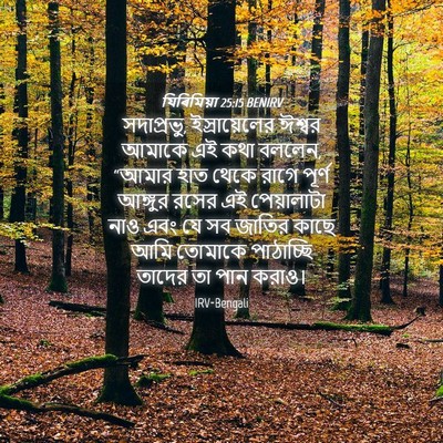 Picture 04 - যিৰিমিয়া 25:15 BENIRV - সদাপ্রভু, - Bible Verse Picture