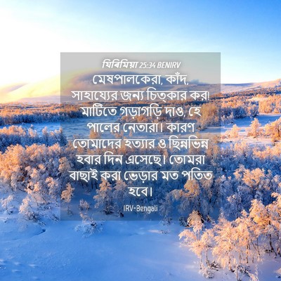 Picture 04 - যিৰিমিয়া 25:34 BENIRV - মেষপালকেরা, কাঁদ, - Bible Verse Picture