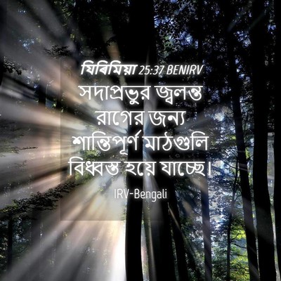 Picture 04 - যিৰিমিয়া 25:37 BENIRV - সদাপ্রভুর জ্বলন্ত - Bible Verse Picture