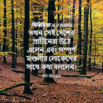 Picture 04 - যিৰিমিয়া 26:17 BENIRV - তখন সেই দেশের - Bible Verse Picture