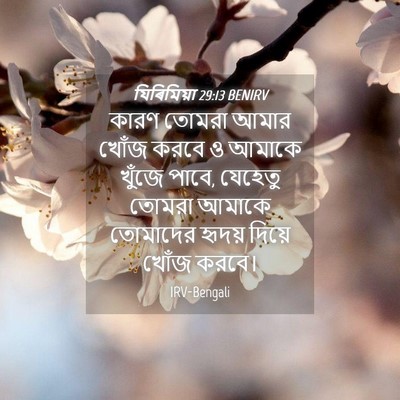 Picture 04 - যিৰিমিয়া 29:13 BENIRV - কারণ তোমরা আমার - Bible Verse Picture