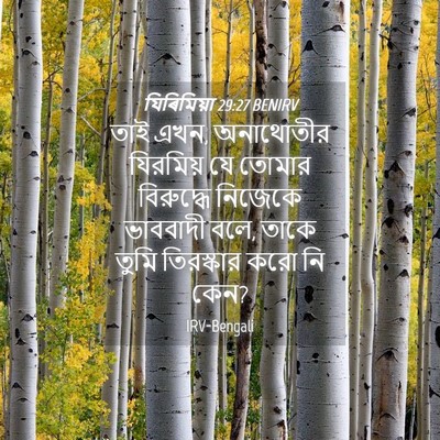 Picture 04 - যিৰিমিয়া 29:27 BENIRV - তাই এখন, অনাথোতীর - Bible Verse Picture
