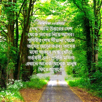 Picture 04 - যিৰিমিয়া 31:8 BENIRV - দেখ, আমি উত্তরের - Bible Verse Picture