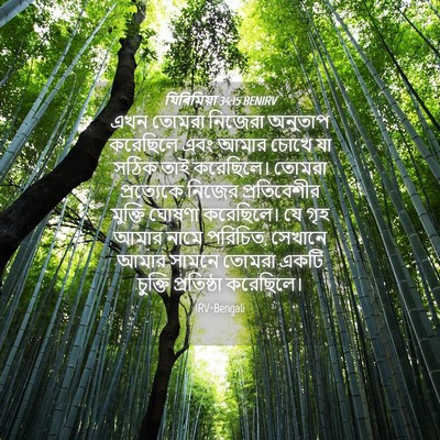 Picture 04 - যিৰিমিয়া 34:15 BENIRV - এখন তোমরা নিজেরা - Bible Verse Picture
