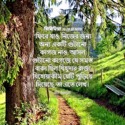 Picture 04 - যিৰিমিয়া 36:28 BENIRV - “ফিরে যাও, নিজের - Bible Verse Picture