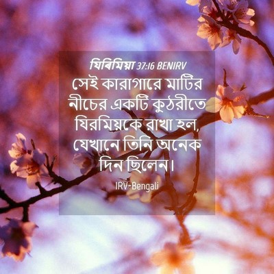 Picture 04 - যিৰিমিয়া 37:16 BENIRV - সেই কারাগারে - Bible Verse Picture