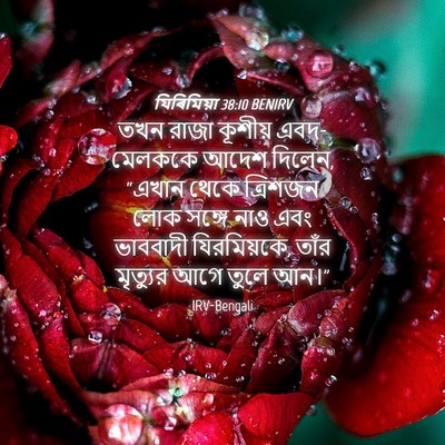 Picture 04 - যিৰিমিয়া 38:10 BENIRV - তখন রাজা কূশীয় - Bible Verse Picture