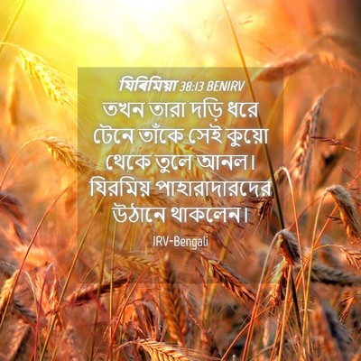 Picture 04 - যিৰিমিয়া 38:13 BENIRV - তখন তারা দড়ি ধরে - Bible Verse Picture