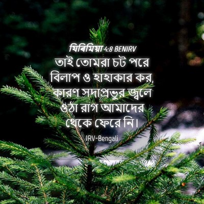 Picture 04 - যিৰিমিয়া 4:8 BENIRV - তাই তোমরা চট পরে - Bible Verse Picture