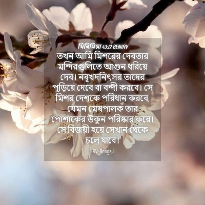 Picture 04 - যিৰিমিয়া 43:12 BENIRV - তখন আমি মিশরের - Bible Verse Picture