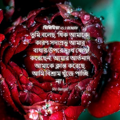 Picture 04 - যিৰিমিয়া 45:3 BENIRV - তুমি বলেছ, ‘ধিক - Bible Verse Picture