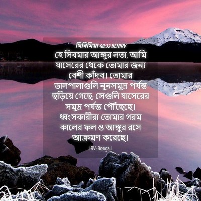 Picture 04 - যিৰিমিয়া 48:32 BENIRV - হে সিবমার আঙ্গুর - Bible Verse Picture