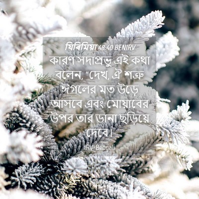 Picture 04 - যিৰিমিয়া 48:40 BENIRV - কারণ সদাপ্রভু এই - Bible Verse Picture