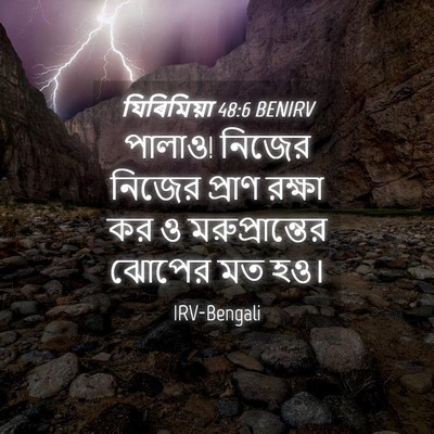 Picture 04 - যিৰিমিয়া 48:6 BENIRV - পালাও! নিজের নিজের - Bible Verse Picture