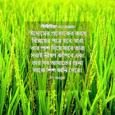 Picture 04 - যিৰিমিয়া 49:17 BENIRV - “ইদোমের - Bible Verse Picture