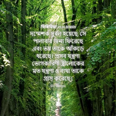 Picture 04 - যিৰিমিয়া 49:24 BENIRV - দম্মেশক দুর্বল - Bible Verse Picture