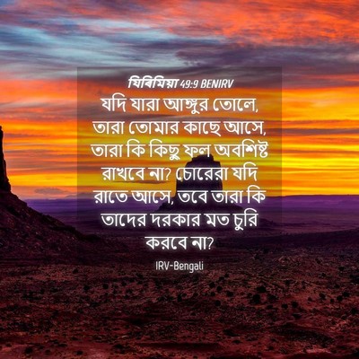 Picture 04 - যিৰিমিয়া 49:9 BENIRV - যদি যারা আঙ্গুর - Bible Verse Picture