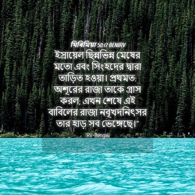 Picture 04 - যিৰিমিয়া 50:17 BENIRV - ইস্রায়েল - Bible Verse Picture
