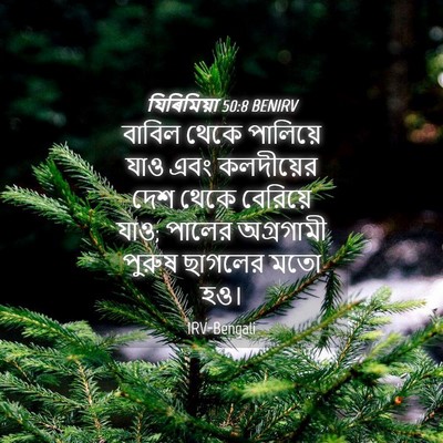 Picture 04 - যিৰিমিয়া 50:8 BENIRV - বাবিল থেকে - Bible Verse Picture