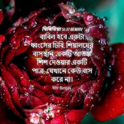 Picture 04 - যিৰিমিয়া 51:37 BENIRV - বাবিল হবে একটা - Bible Verse Picture