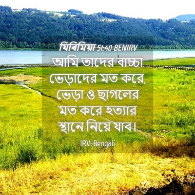 Picture 04 - যিৰিমিয়া 51:40 BENIRV - আমি তাদের বাচ্চা - Bible Verse Picture