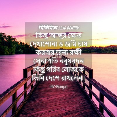 Picture 04 - যিৰিমিয়া 52:16 BENIRV - কিন্তু আঙ্গুর - Bible Verse Picture