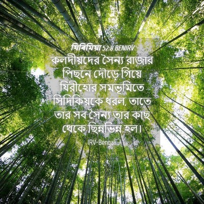Picture 04 - যিৰিমিয়া 52:8 BENIRV - কলদীয়দের সৈন্য - Bible Verse Picture