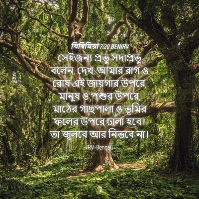 Picture 04 - যিৰিমিয়া 7:20 BENIRV - সেইজন্য প্রভু - Bible Verse Picture