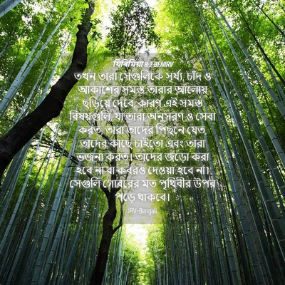 Picture 04 - যিৰিমিয়া 8:2 BENIRV - তখন তারা সেগুলিকে - Bible Verse Picture