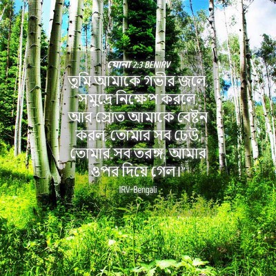 Picture 04 - যোনা 2:3 BENIRV - তুমি আমাকে গভীর - Bible Verse Picture