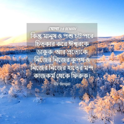 Picture 04 - যোনা 3:8 BENIRV - কিন্তু মানুষ ও পশু - Bible Verse Picture