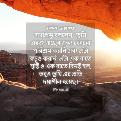 Picture 04 - যোনা 4:10 BENIRV - সদাপ্রভু বললেন, - Bible Verse Picture