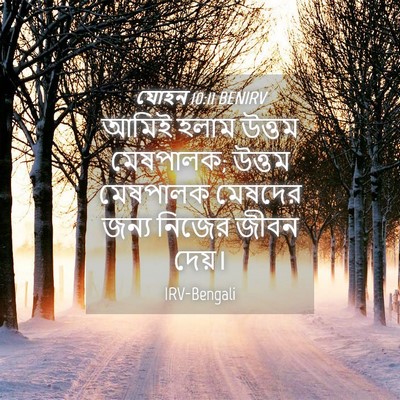 Picture 04 - যোহন 10:11 BENIRV - আমিই হলাম উত্তম - Bible Verse Picture