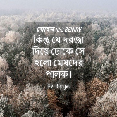 Picture 04 - যোহন 10:2 BENIRV - কিন্তু যে দরজা - Bible Verse Picture