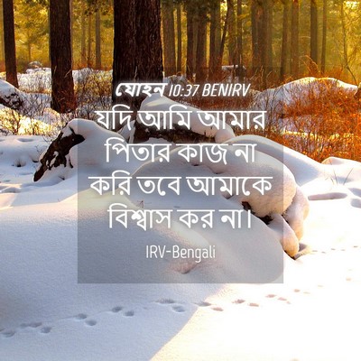 Picture 04 - যোহন 10:37 BENIRV - যদি আমি আমার পিতার - Bible Verse Picture