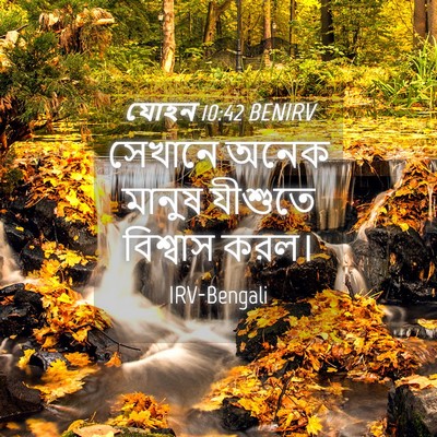 Picture 04 - যোহন 10:42 BENIRV - সেখানে অনেক মানুষ - Bible Verse Picture