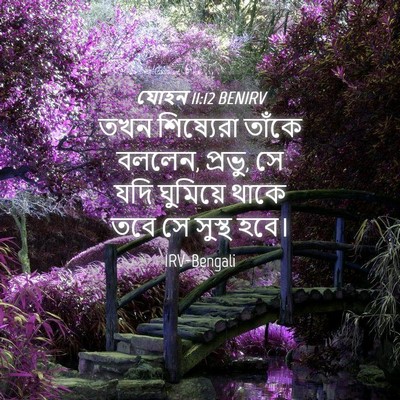 Picture 04 - যোহন 11:12 BENIRV - তখন শিষ্যেরা - Bible Verse Picture