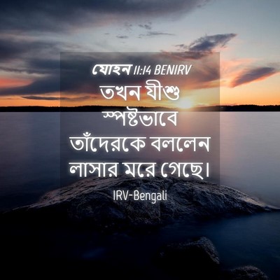 Picture 04 - যোহন 11:14 BENIRV - তখন যীশু - Bible Verse Picture