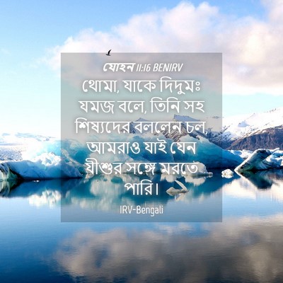 Picture 04 - যোহন 11:16 BENIRV - থোমা, যাকে দিদুমঃ - Bible Verse Picture