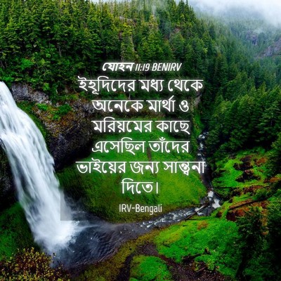 Picture 04 - যোহন 11:19 BENIRV - ইহূদিদের মধ্য - Bible Verse Picture